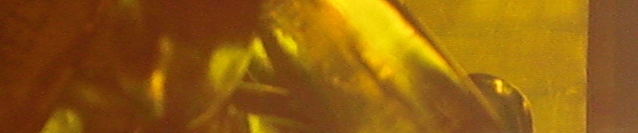Rob Interface