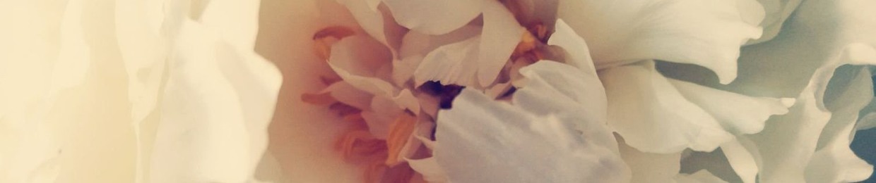 forever_spring