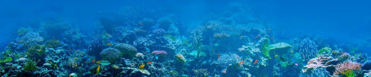 Deep In Blue