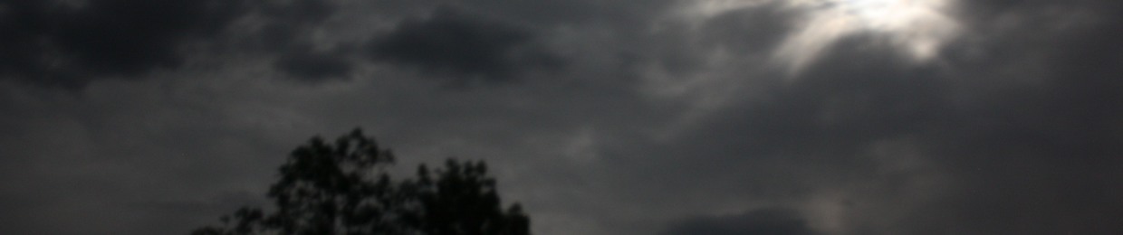 system chon- 6naps 6tem