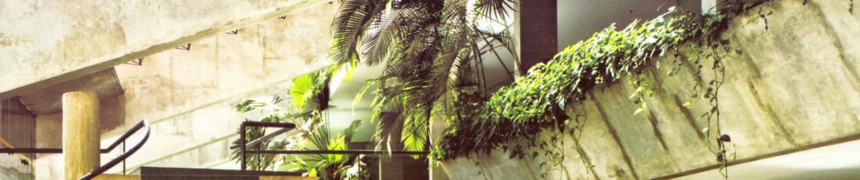 marius molinero