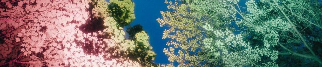 Alba Maria Faggionato