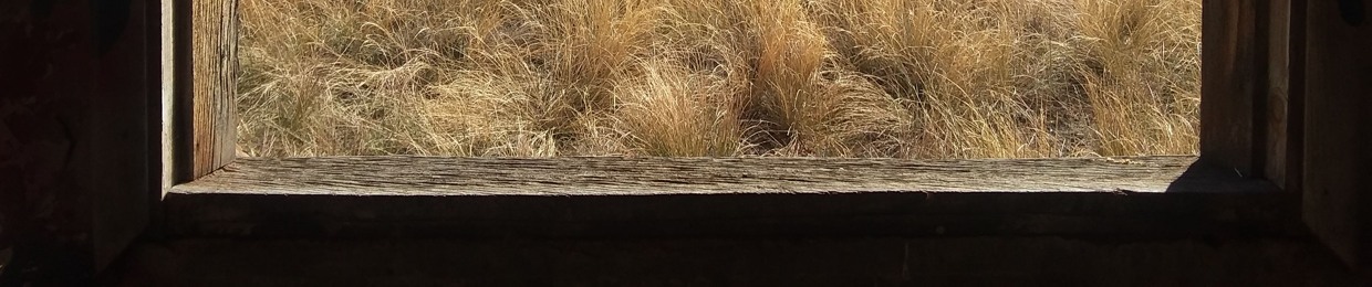 Far Out And Back Again