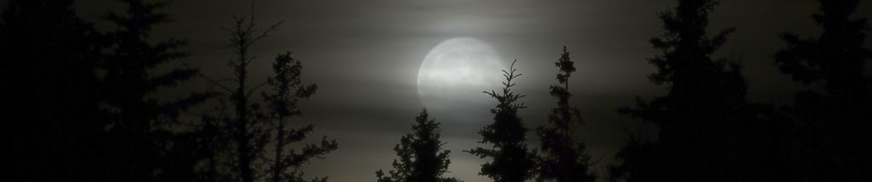MXXN