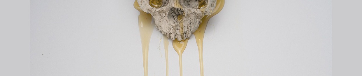 Honey Bones