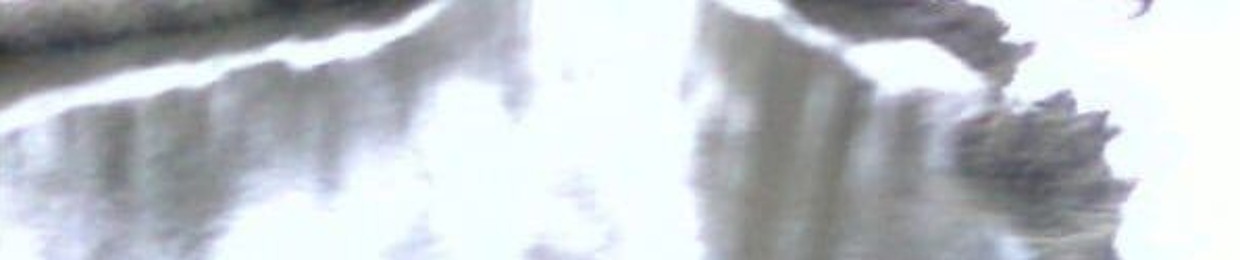 futsu