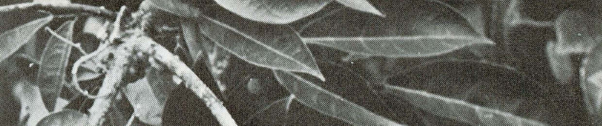 Tact Recordings / Tactics