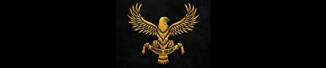 ShahinNajafi