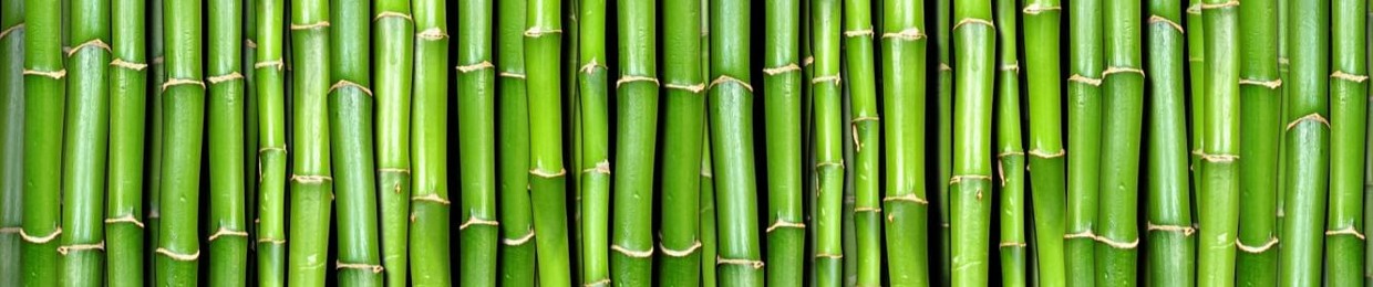 Bamboo Szn