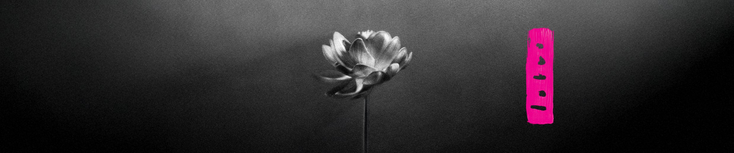 Download Little Simz from soundcloud to mp3