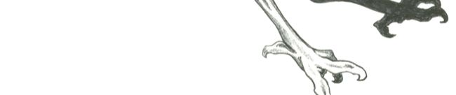 SoundCloud banner for @copilot