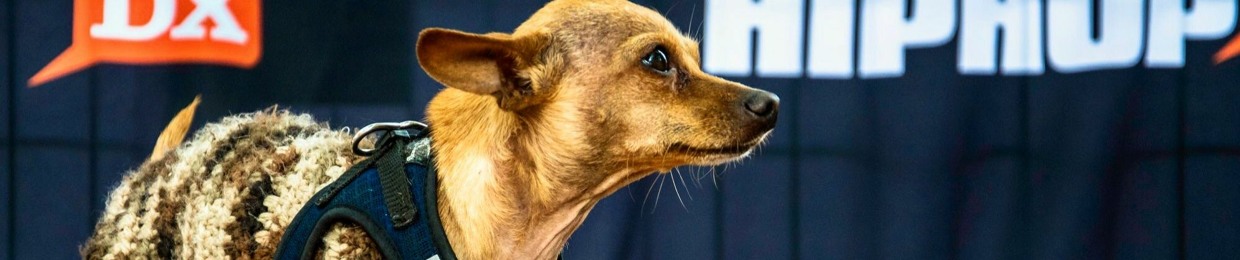 No Discussion Podcast