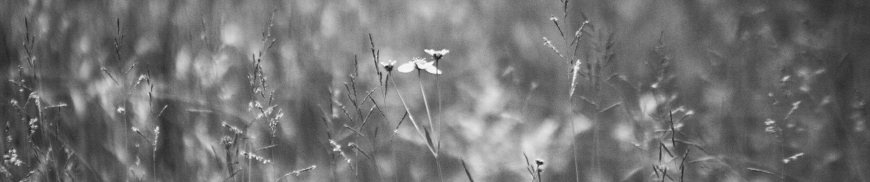 Juan Camilo Reyes Moreno