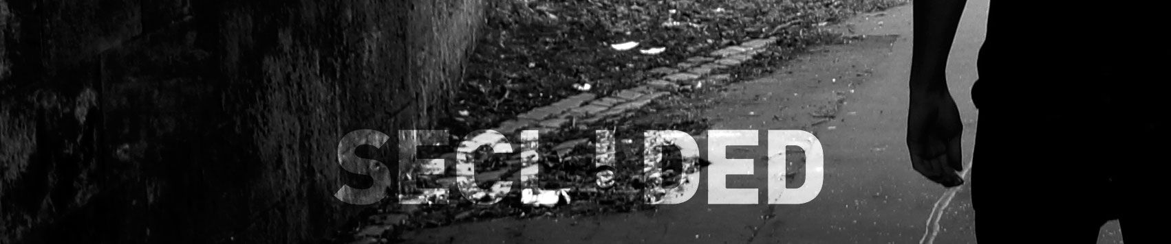 SoundCloud banner for @secluded