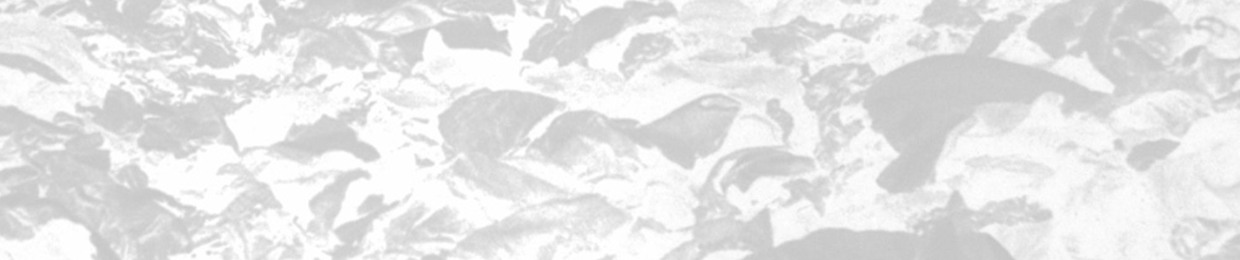 THE SINISTER INITIATIVE