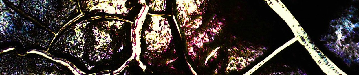 Apostles of the Submaster