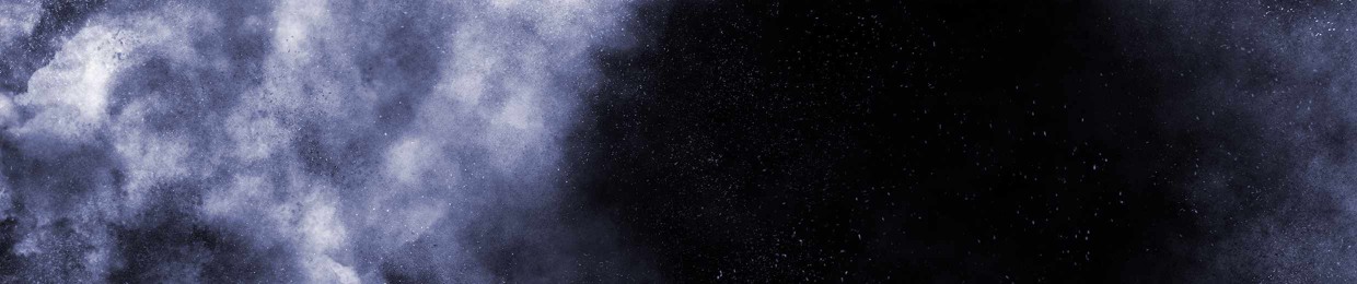 The Muller Fokker Effect