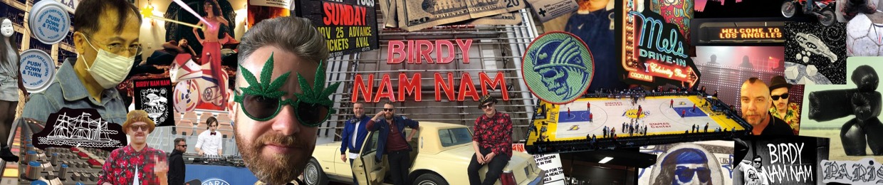 Birdy Nam Nam Official