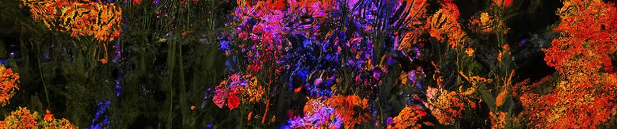 Faarjam Saidi | فرجام سعیدی