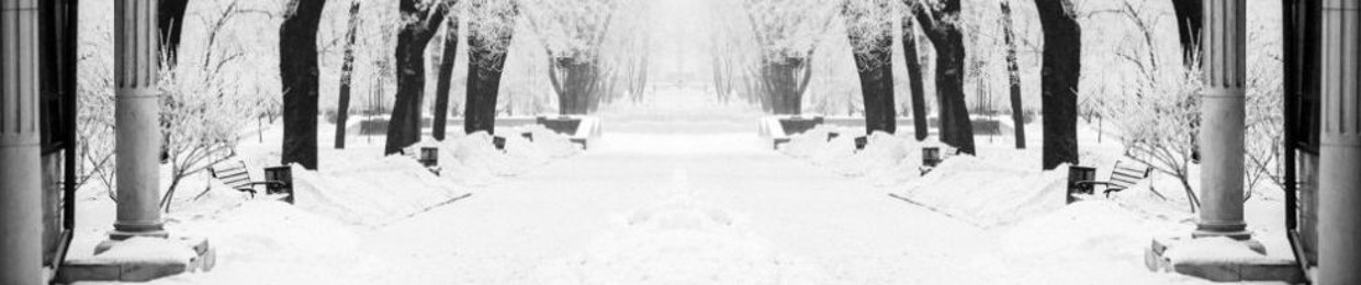 MY_TIGER_SIDE