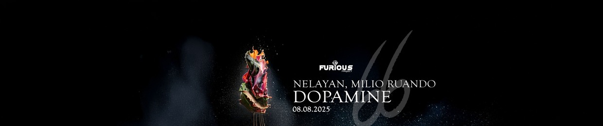 Furious Project