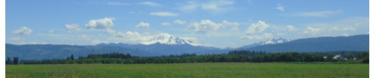 Michaelann C. F. Dahlman