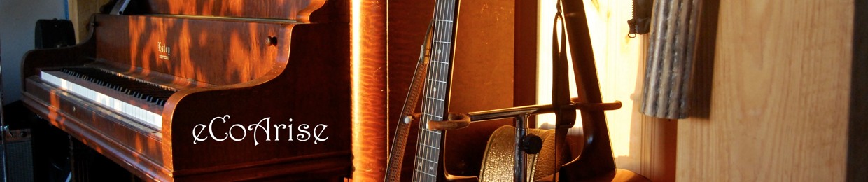 eCoArise