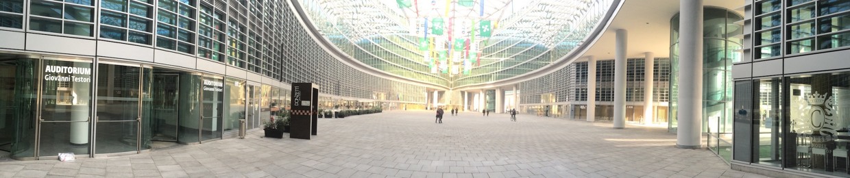 Alex Citton Salvadori