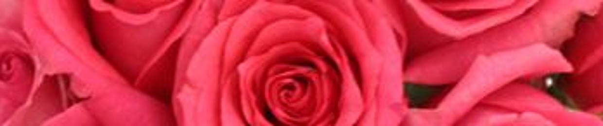 Dentisna Krisnayanti