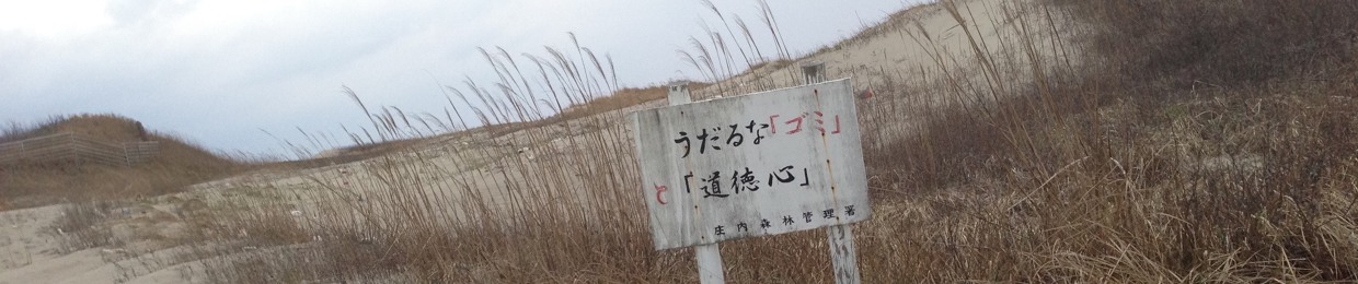 しゃしくえ Shacique