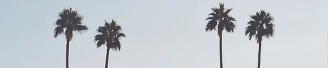 SoundCloud banner for @dodgeball
