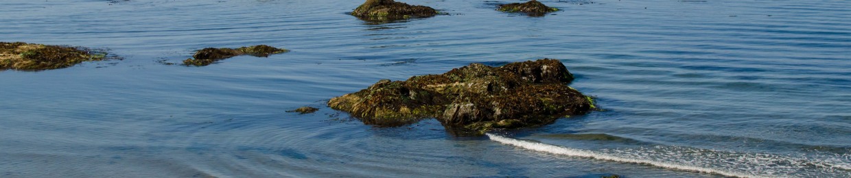 Daniel Christian Mounsey