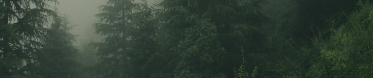 Soroush Tavakoli