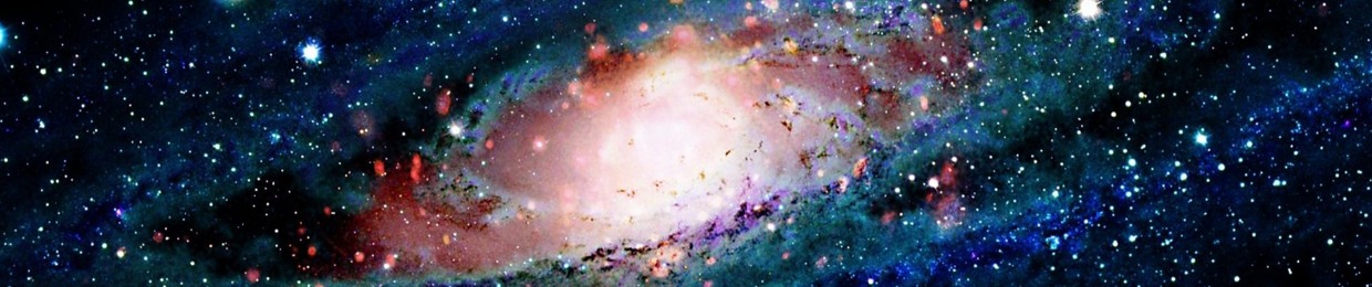 42Terra_Bites
