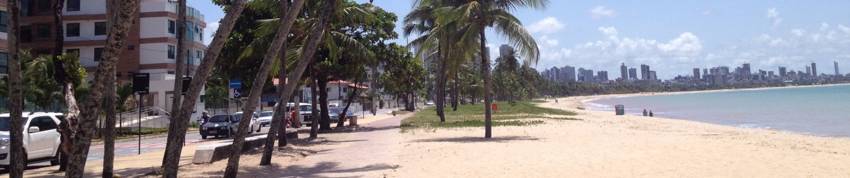 Bruno De Melo Araújo