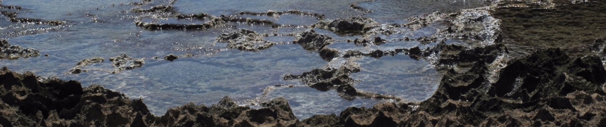 Isampera