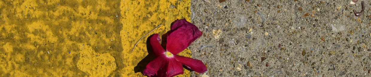 Department of Slay Studies