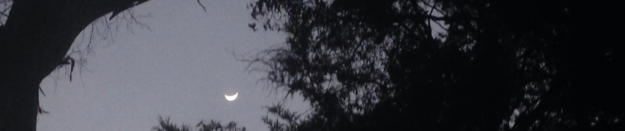 Alamontanarusatevoyatrepar