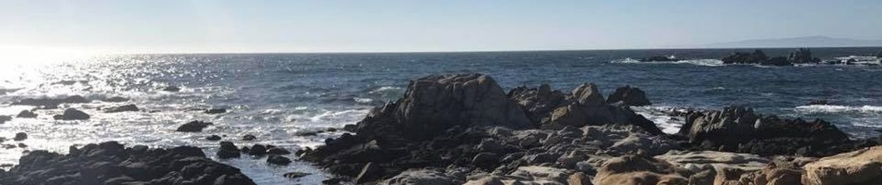 Ansbert - The Music Messiah