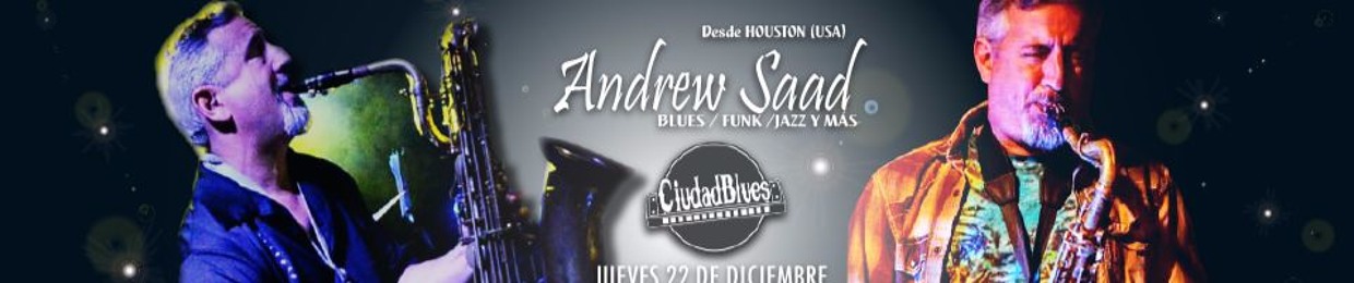 Ciudad Blues Band