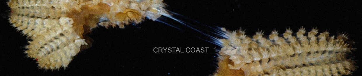 Crystal Coast