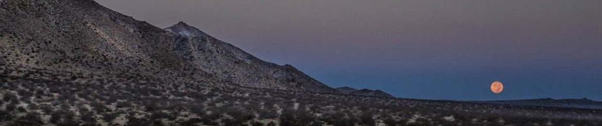 Moontribe Collective