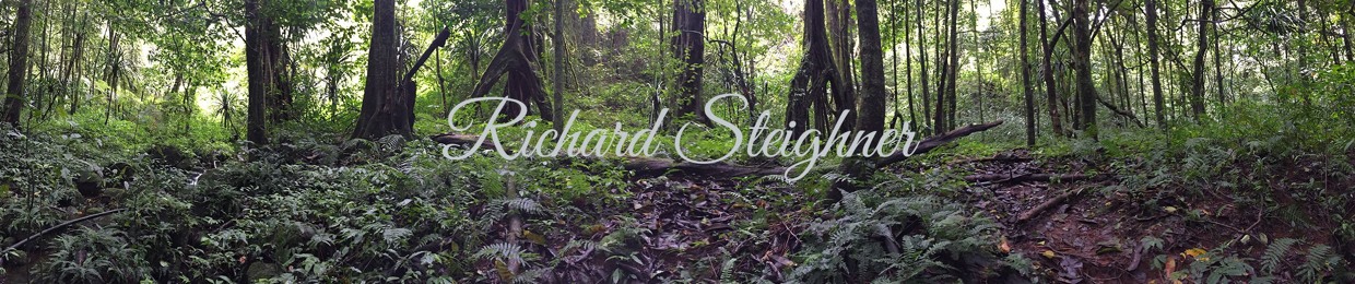 Richard "Robot" Steighner