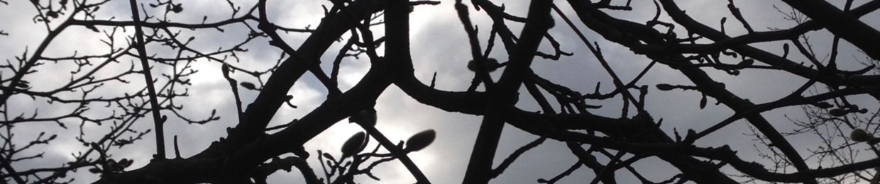 Branch (DnB)