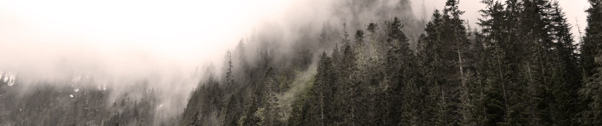 Talesh