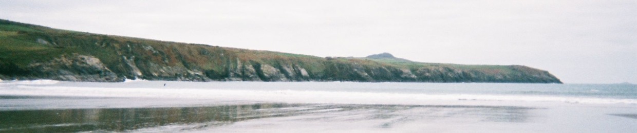 Saskia Steene Faulkner