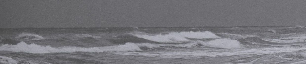 Andrei Purcarea (EarWithMe Podcast)