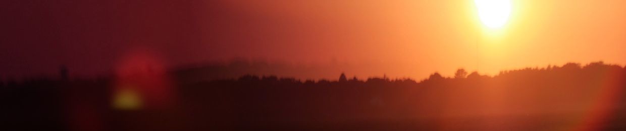 Emerald Comets (Reuben Bettsak)