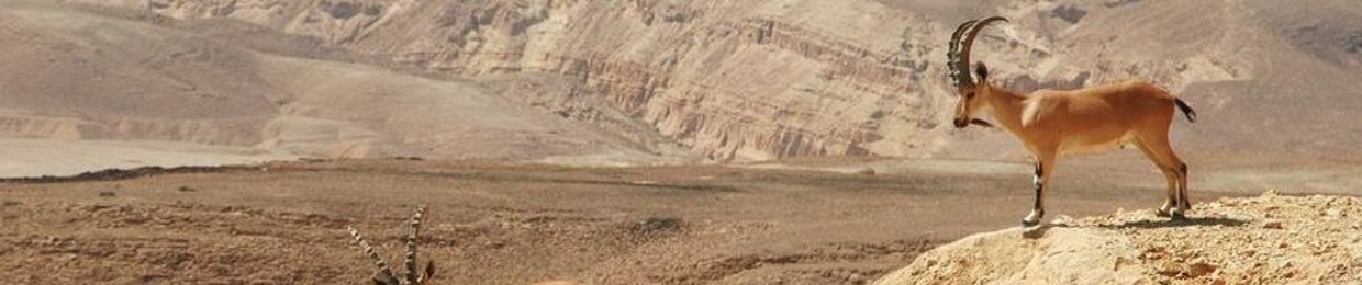 הכי טוב שלנו