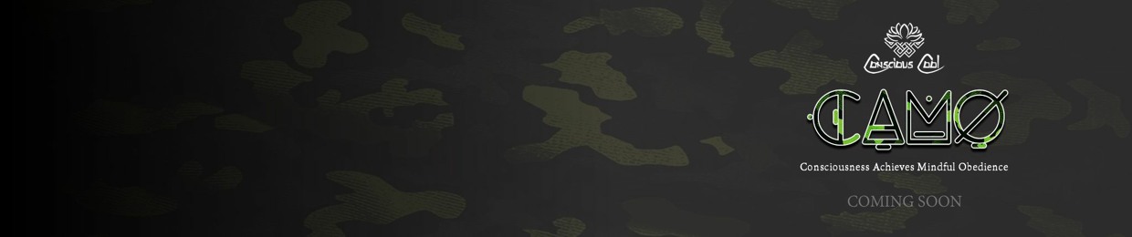 Narrow Zone Entertainment